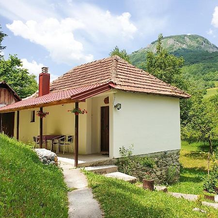 Farmstead Green Haven Мойковац Екстериор снимка