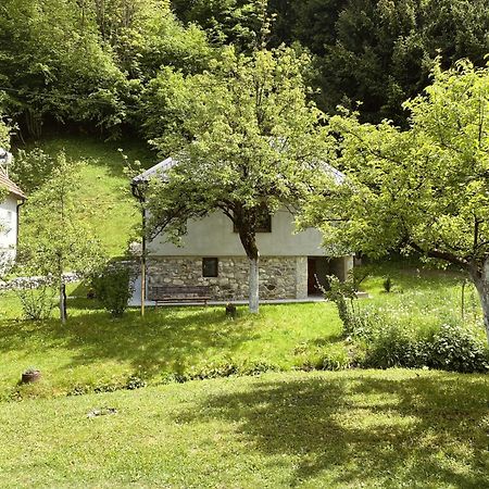 Farmstead Green Haven Мойковац Екстериор снимка