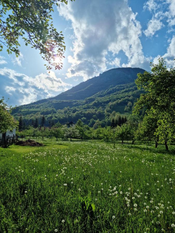 Farmstead Green Haven Мойковац Екстериор снимка