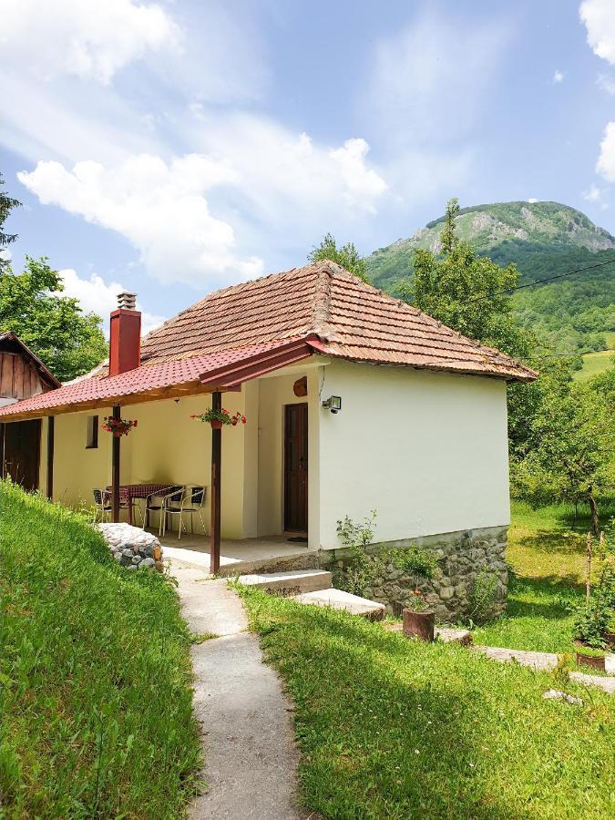 Farmstead Green Haven Мойковац Екстериор снимка