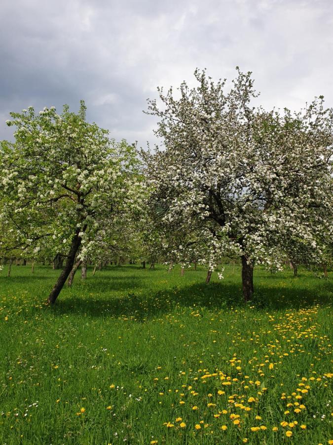 Farmstead Green Haven Мойковац Екстериор снимка
