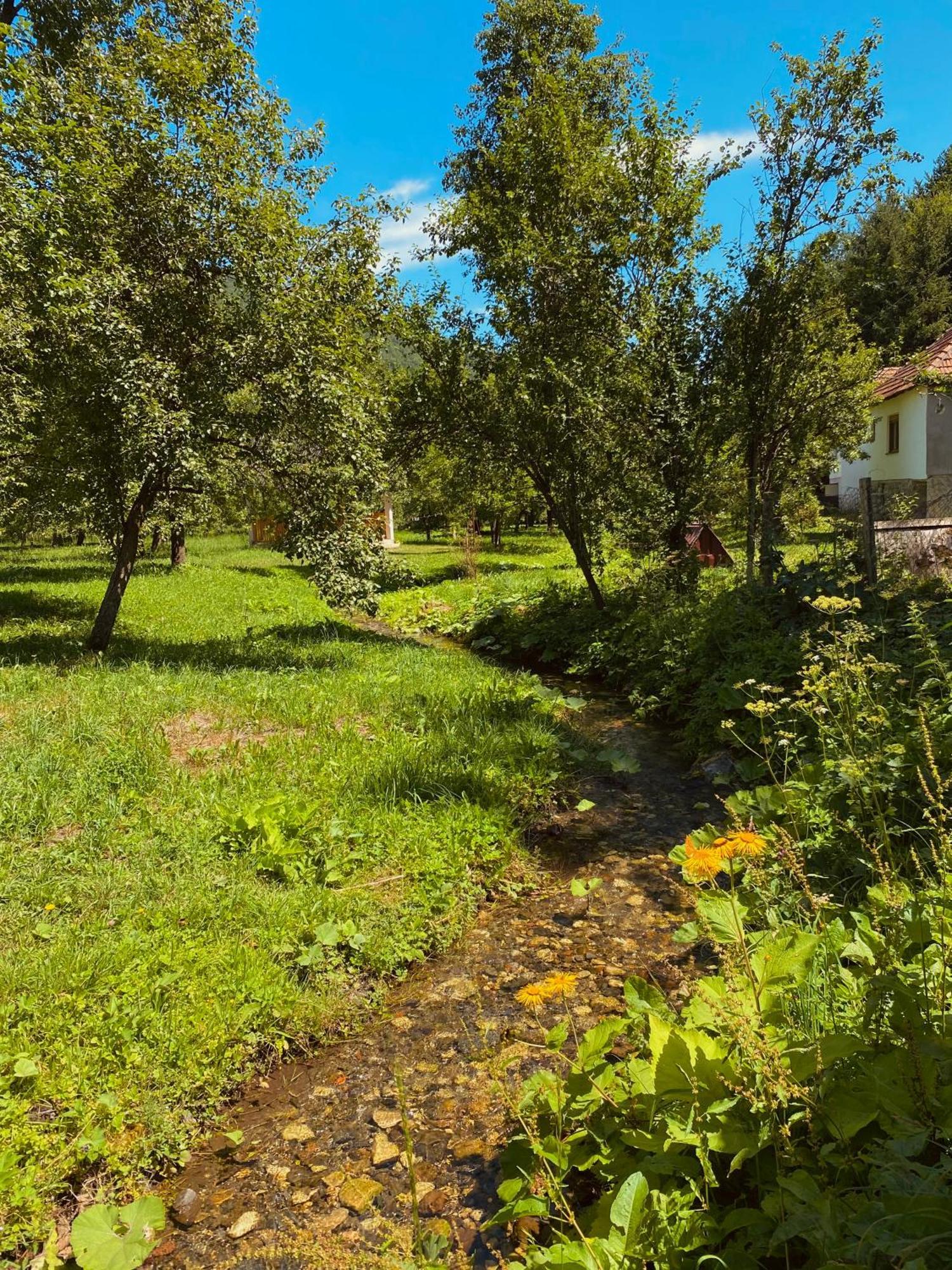 Farmstead Green Haven Мойковац Екстериор снимка